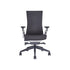 MAVEN Ergonomic Office Work Chair Ergonomic Working Chair