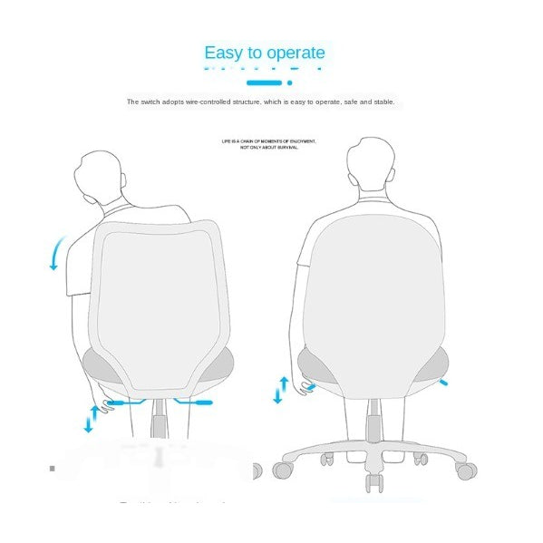 ROMA Office Chair Ergonomic Computer Chair Lumbar Support