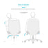 ROMA Office Chair Ergonomic Computer Chair Lumbar Support