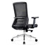 HOMELAND Electric Work Desk Package Office Standing Desk Work Chair