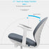 ROMA Office Chair Ergonomic Computer Chair Lumbar Support