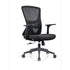 MUMBAI Ergonomic Office Work Chair Staff Chair Office Working Chair