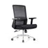 HOMELAND Electric Work Desk Package Office Standing Desk Work Chair