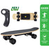 HAWK Electric Skateboard Electric Skateboard - AFW