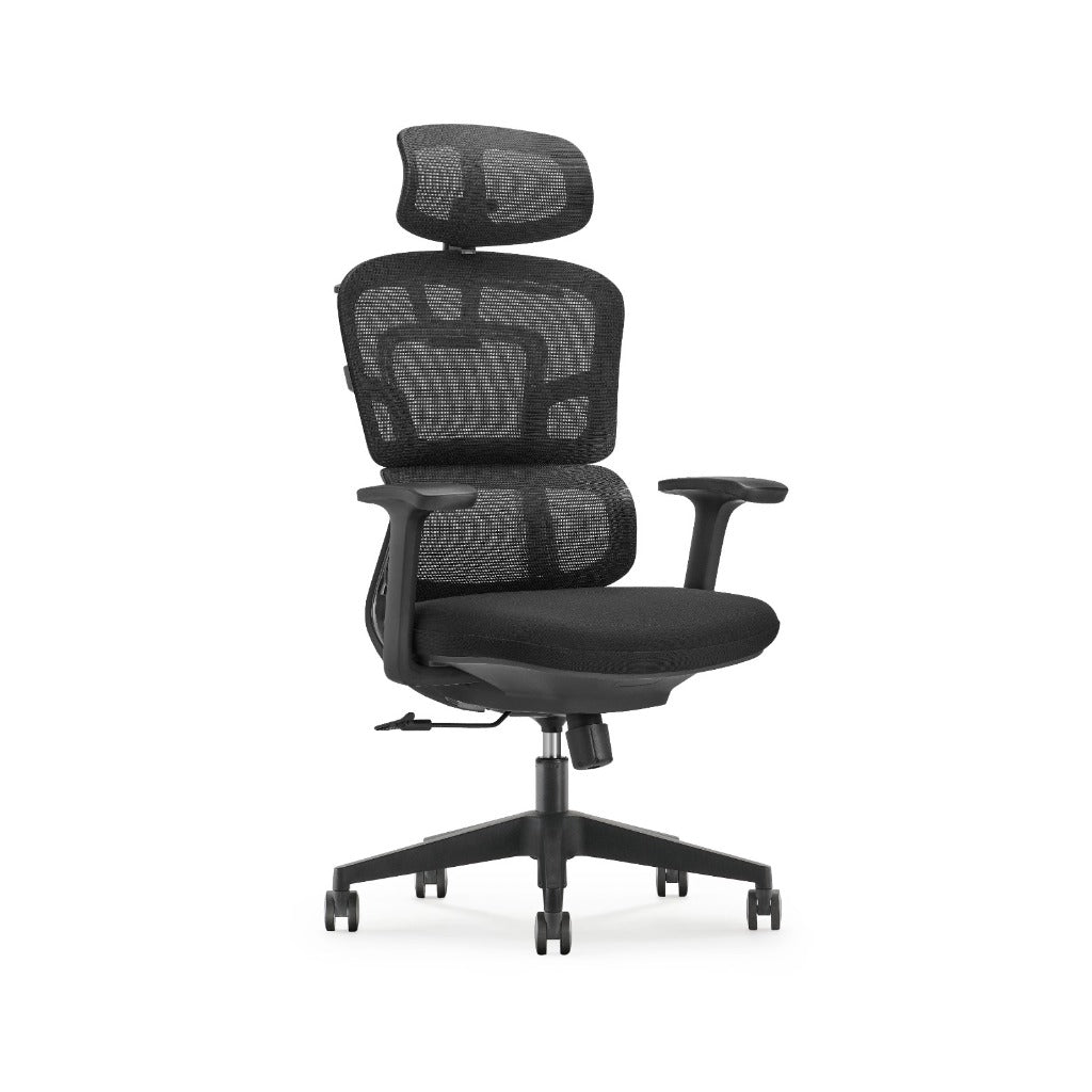 SHELDON Ergonomic Work Chair Office Chair Working Chair Gaming Chair