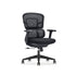 SHELDON Ergonomic Work Chair Office Chair Working Chair Gaming Chair