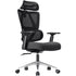 WALKER Ergonomic Work Chair Liftable Waist Protector AF Office Chair