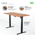 MARCO AFW Adjustable Standing Desk Electric Work Desk